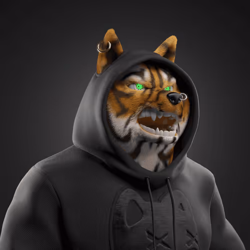 Shiba #3717