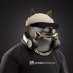 Shiba #2845