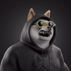 Shiba #5278