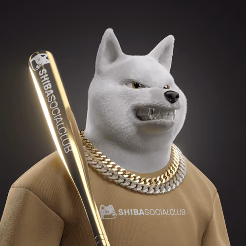 Shiba #5168