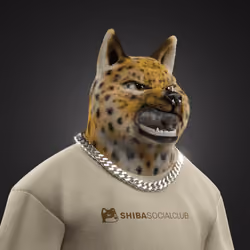Shiba #7288