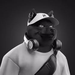 Shiba #6844