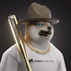 Shiba #4730