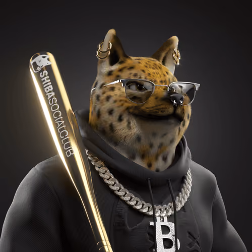 Shiba #1584