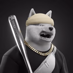 Shiba #293