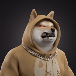Shiba #2774