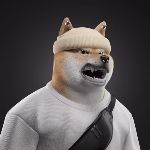 Shiba #2492