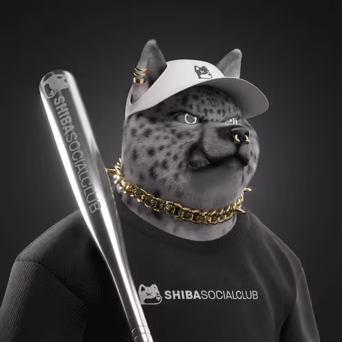 Shiba #4650