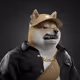 Shiba #2944