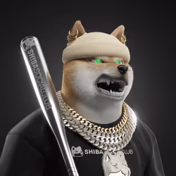 Shiba #1159