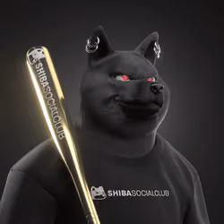 Shiba #3371
