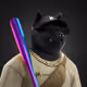 1256
