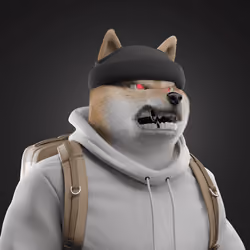 Shiba #5164