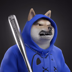 Shiba #5274