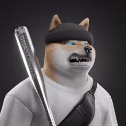 Shiba #4977