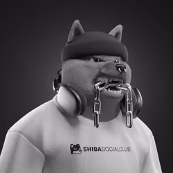 Shiba #5766