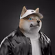 Shiba #2612