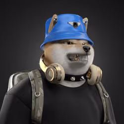 Shiba #6265
