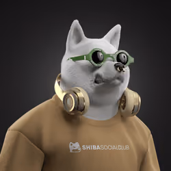 Shiba #2081