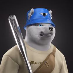 Shiba #1804