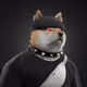 1768