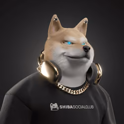 Shiba #6388