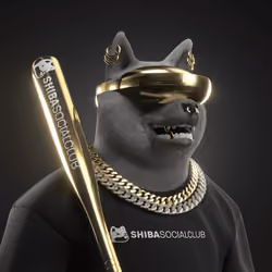 Shiba #716