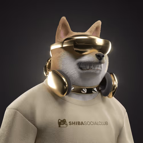 Shiba #26