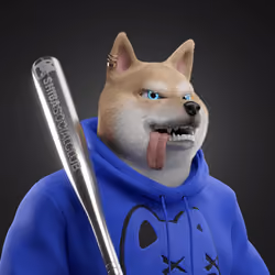 Shiba #3181