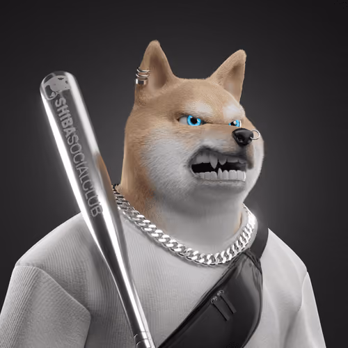 Shiba #6822