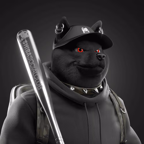 Shiba #5279