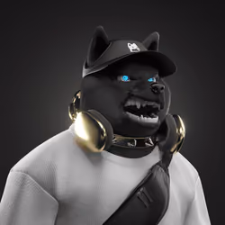 Shiba #269