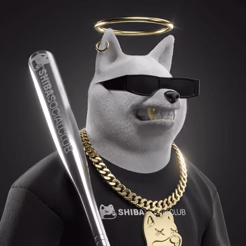 Shiba #4577
