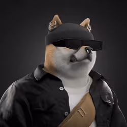 Shiba #1319