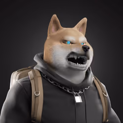 Shiba #2223