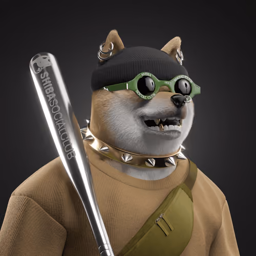 Shiba #531