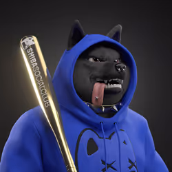 Shiba #7249
