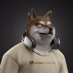Shiba #7647