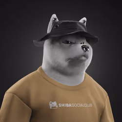 Shiba #764