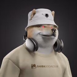 Shiba #4180