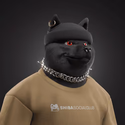 Shiba #7102