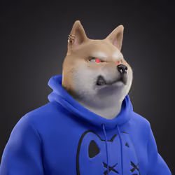 Shiba #6020