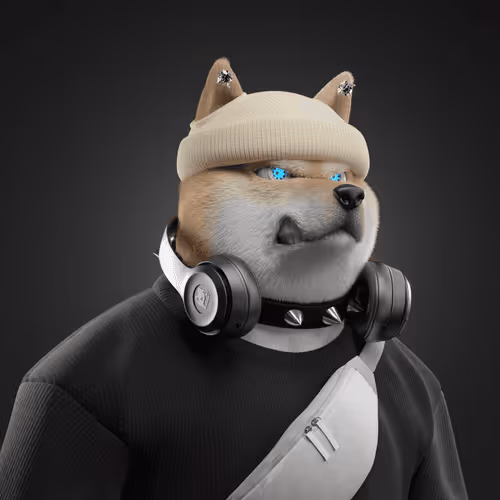 Shiba #7773
