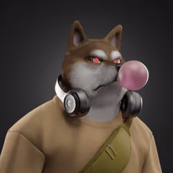 Shiba #4293