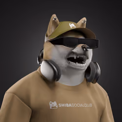 Shiba #6086