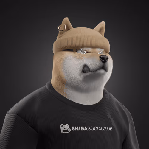Shiba #5284
