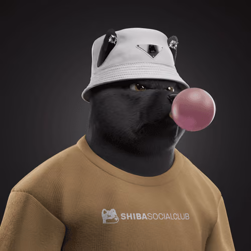 Shiba #2704