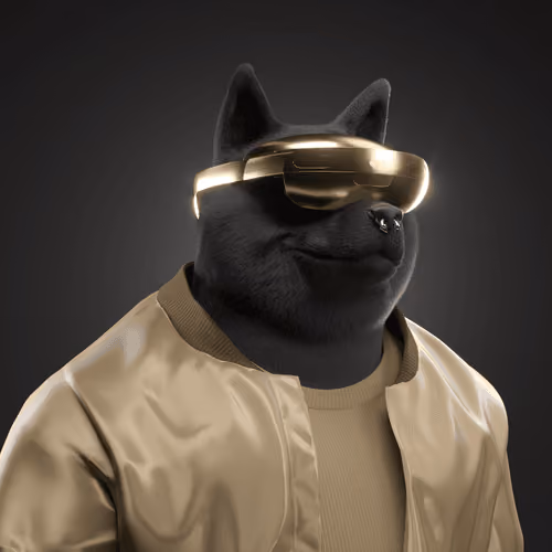 Shiba #5308