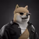 6850