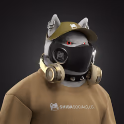 Shiba #934